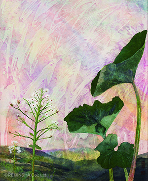 蕗とふきのとう