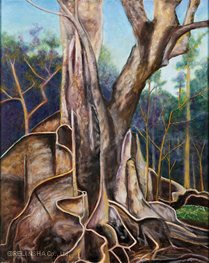 板状の根を張る古木