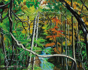 ふじづるの見える雑木林の風景