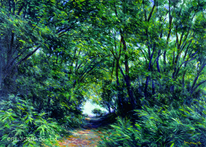 風のエチュード